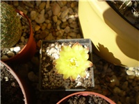43f56bb7-Picture 4082.jpg